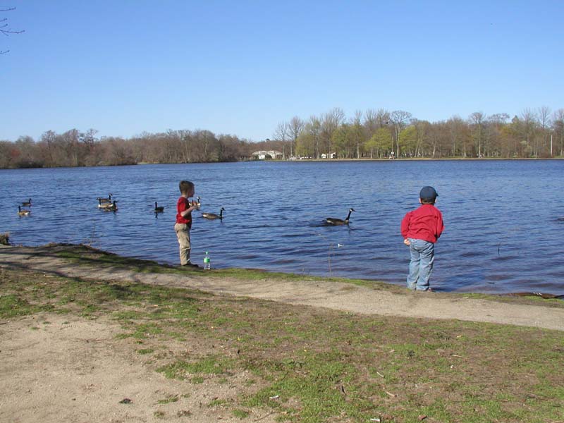P4240038
