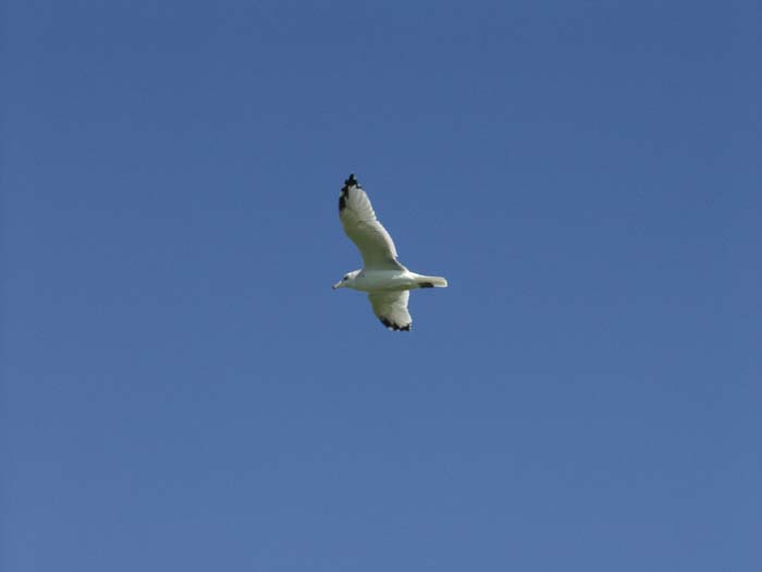 P9269597