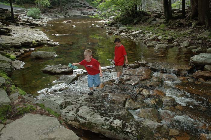 0341_Andrew n Gregory