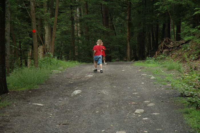 0347_Andrew n Gregory