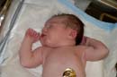 2005-05-22_0023_Birth of Cara