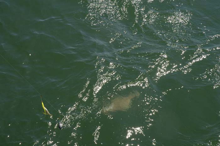 2005-05-13_0068_Fishing