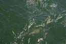 2005-05-13_0068_Fishing