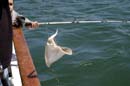 2005-05-13_0071_Fishing
