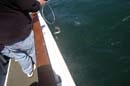 2005-05-13_0113_Fishing