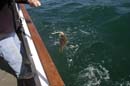 2005-05-13_0121_Fishing