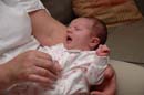 2005-06-12_0090_Gideons BD