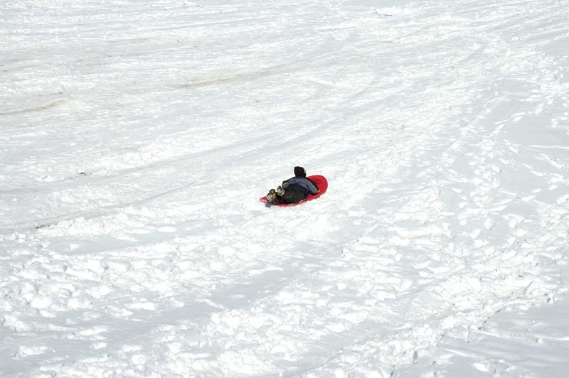 2005-03-12_0010_Snow Sleding