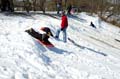 2005-03-12_0008_Snow Sleding