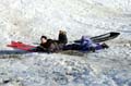 2005-03-12_0085_Snow Sleding