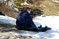 2005-03-12_0118_Snow Sleding