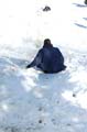 2005-03-12_0126_Snow Sleding