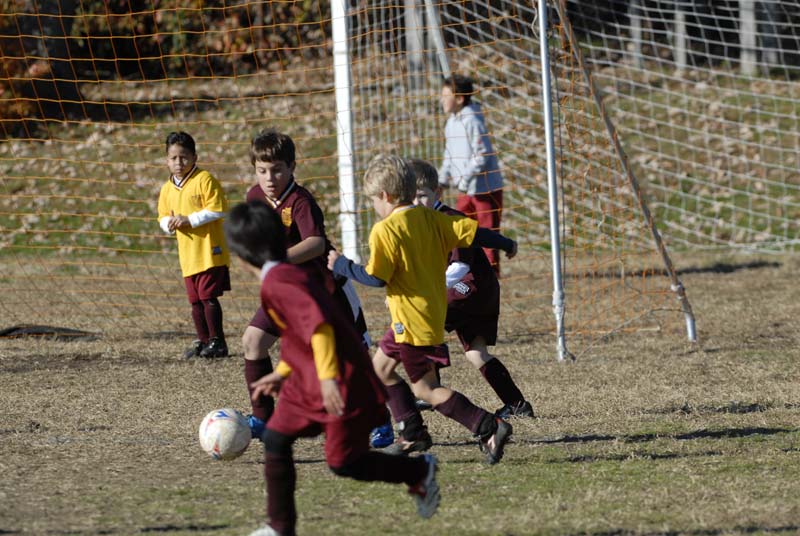 0445_Andrew Soccer