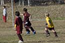 0441_Andrew Soccer