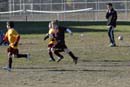 0531_Andrew Soccer