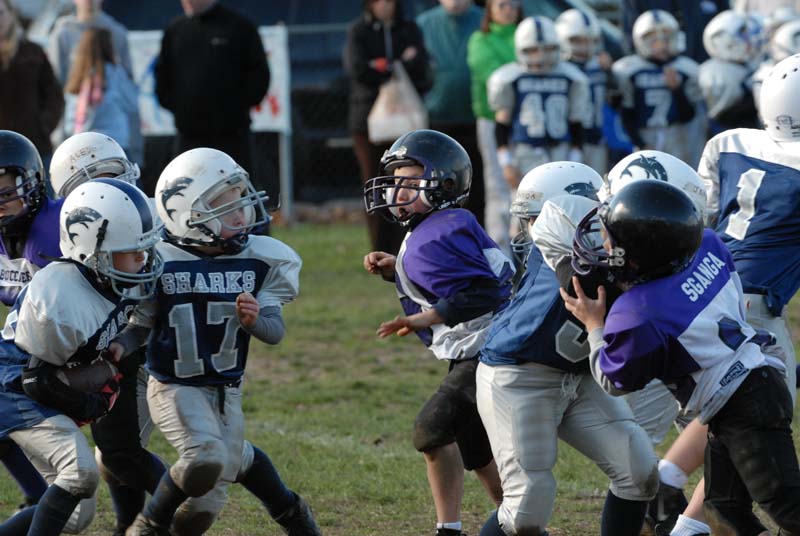 0971_Gregorys last game