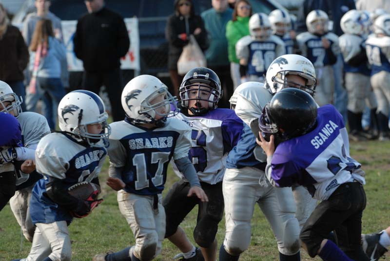 0972_Gregorys last game