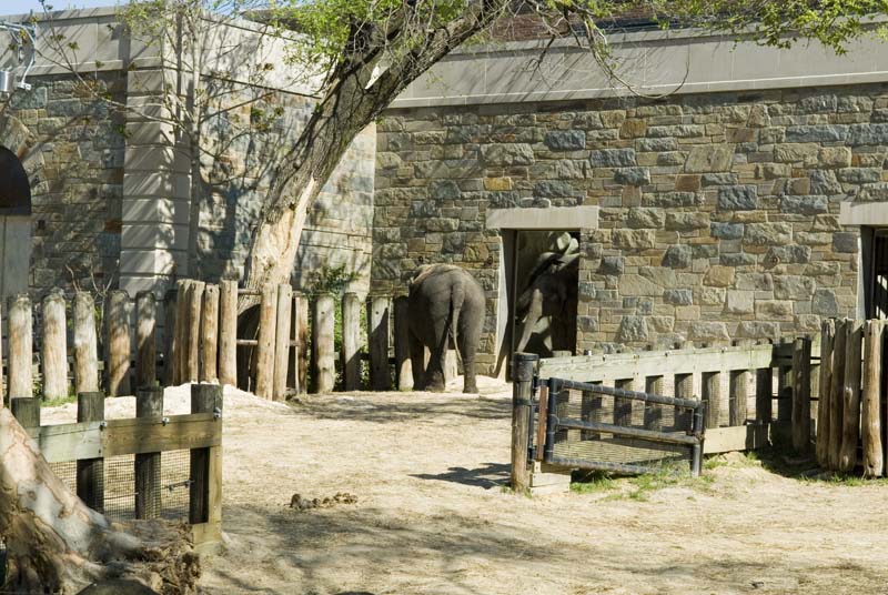 2331_D200_Wash DC Zoo