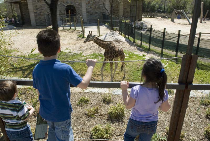2366_D200_Wash DC Zoo