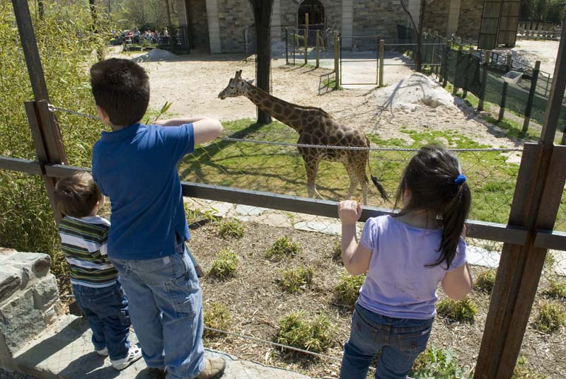 2367_D200_Wash DC Zoo