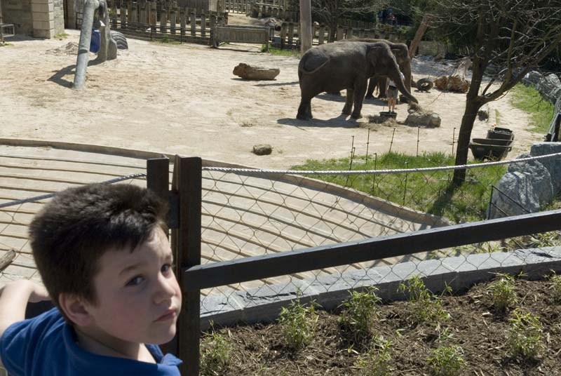 2370_D200_Wash DC Zoo