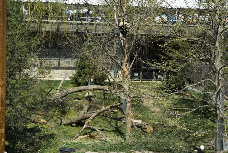 2371_D200_Wash DC Zoo