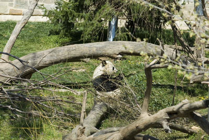 2372_D200_Wash DC Zoo