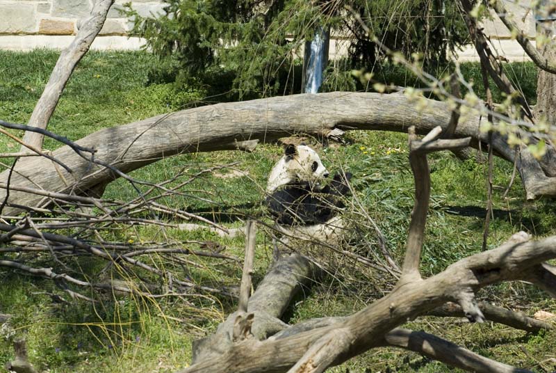 2374_D200_Wash DC Zoo