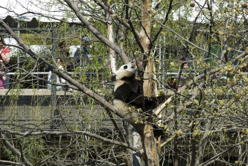 2377_D200_Wash DC Zoo