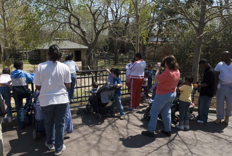2392_D200_Wash DC Zoo