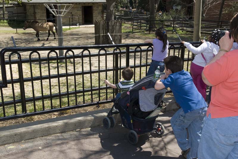 2394_D200_Wash DC Zoo