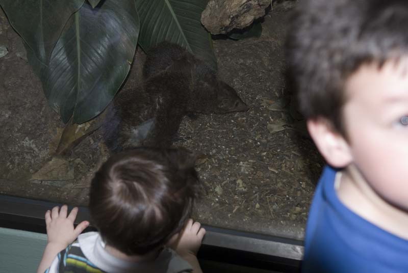 2399_D200_Wash DC Zoo