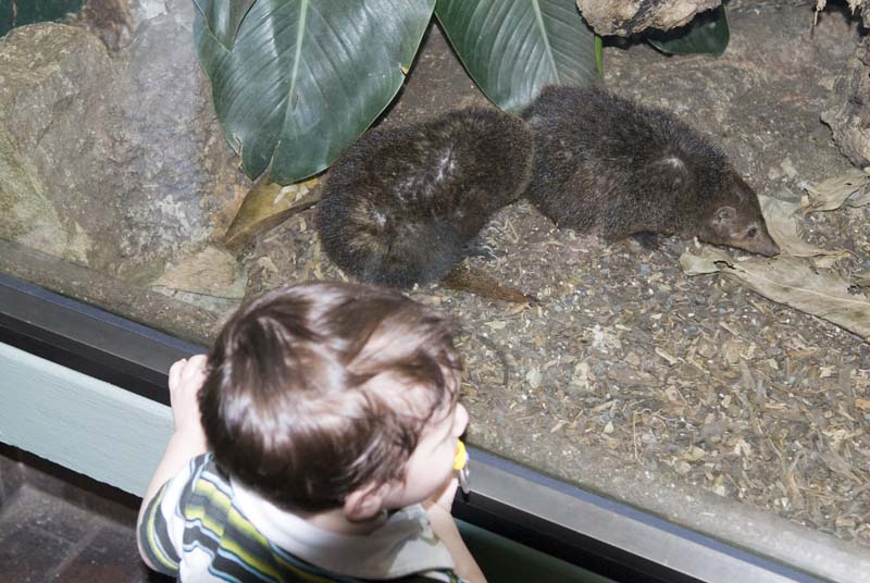 2400_D200_Wash DC Zoo