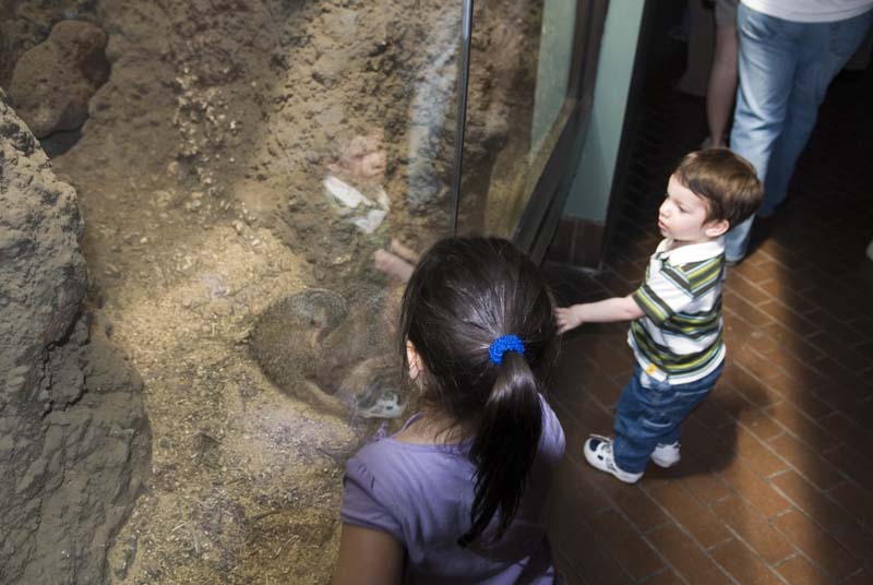 2415_D200_Wash DC Zoo