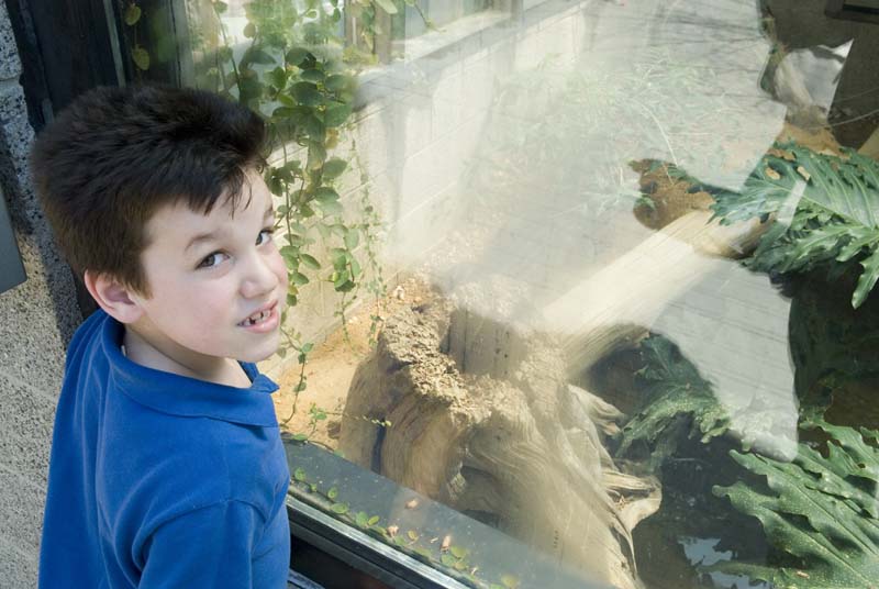 2433_D200_Wash DC Zoo