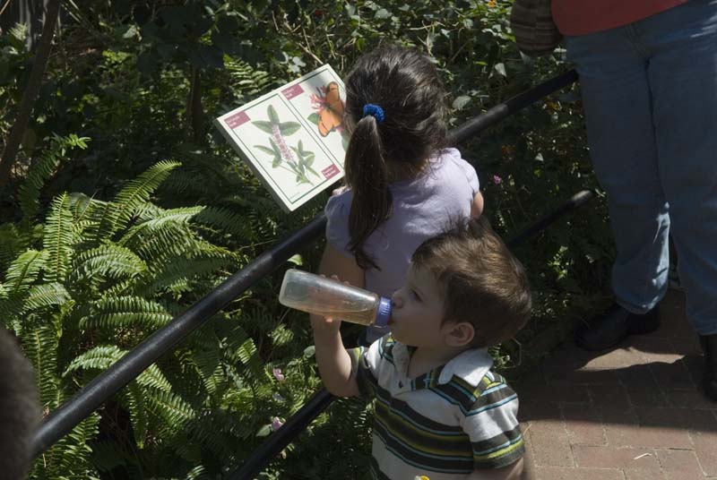 2455_D200_Wash DC Zoo