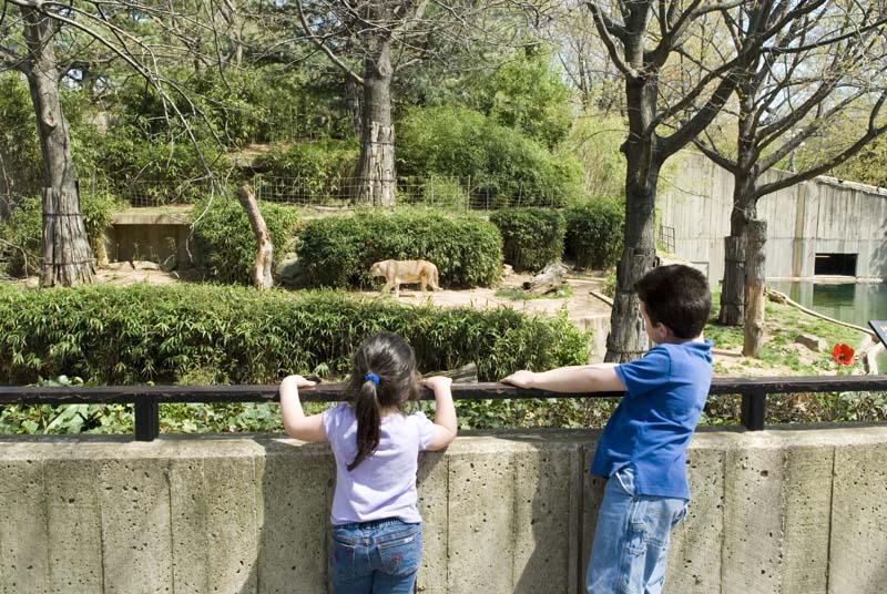 2461_D200_Wash DC Zoo