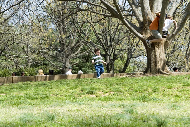 2466_D200_Wash DC Zoo