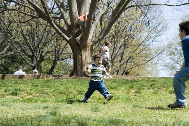 2468_D200_Wash DC Zoo
