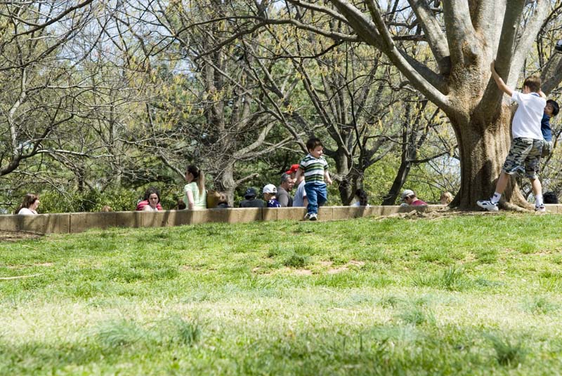 2474_D200_Wash DC Zoo