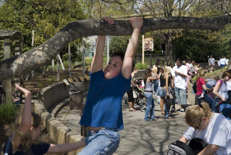 2545_D200_Wash DC Zoo