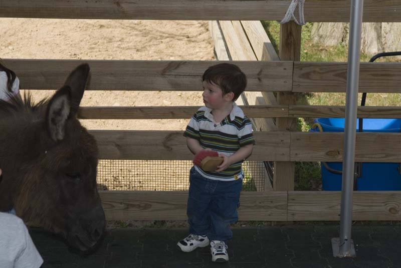 2565_D200_Wash DC Zoo