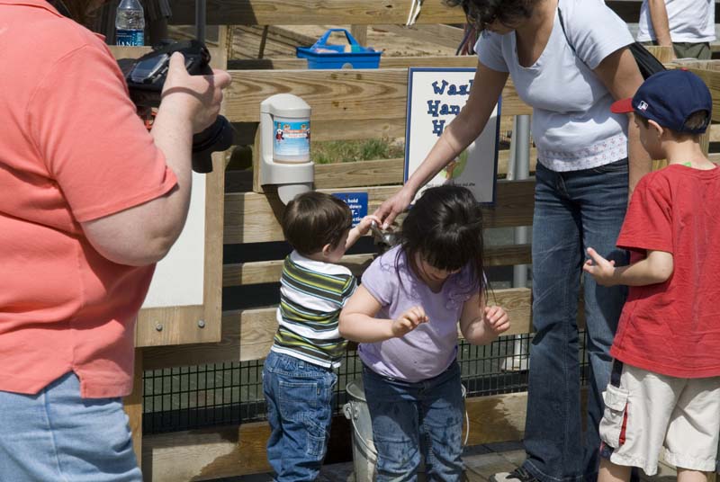 2573_D200_Wash DC Zoo