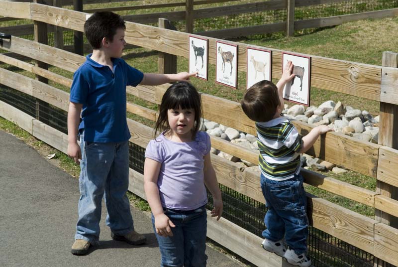 2576_D200_Wash DC Zoo