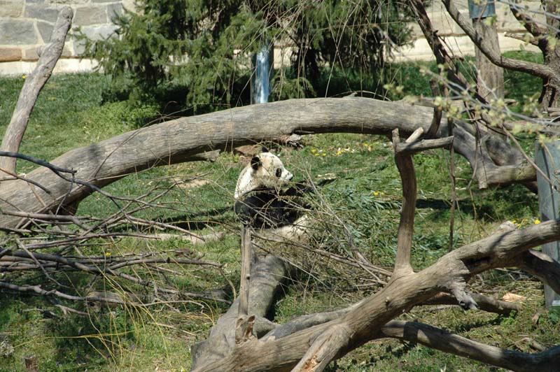 2644_D200_Wash DC Zoo Edna