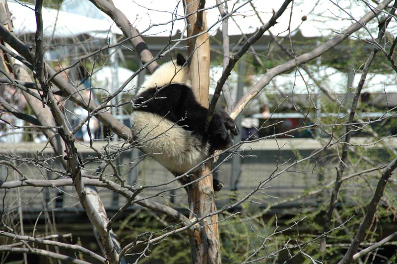 2647_D200_Wash DC Zoo Edna