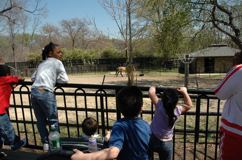 2652_D200_Wash DC Zoo Edna