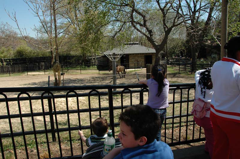 2653_D200_Wash DC Zoo Edna