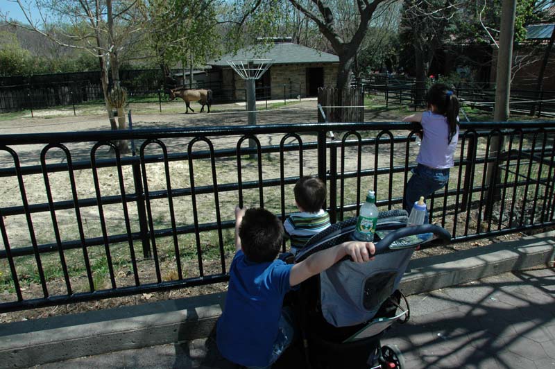 2654_D200_Wash DC Zoo Edna
