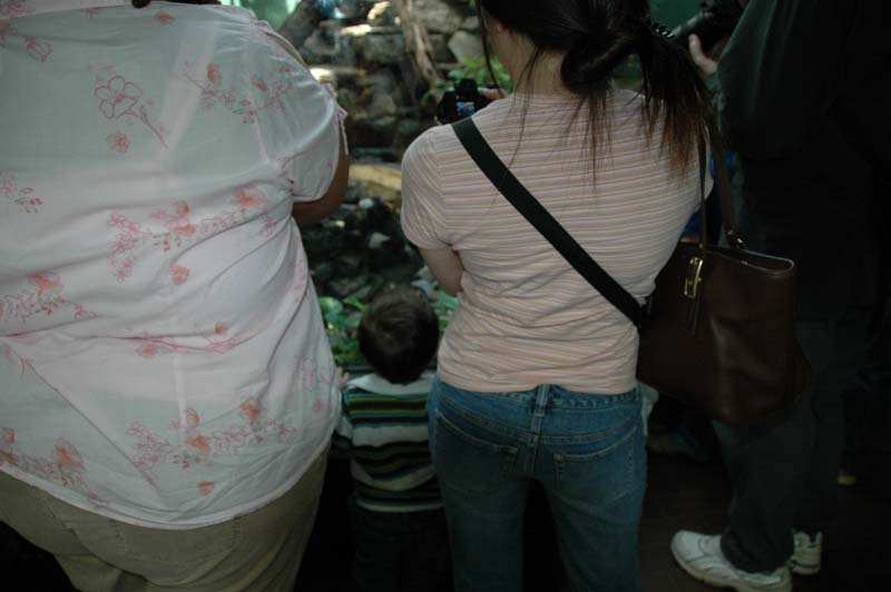 2660_D200_Wash DC Zoo Edna